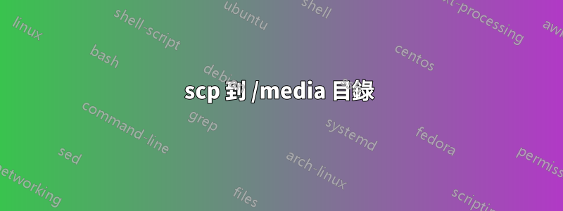 scp 到 /media 目錄