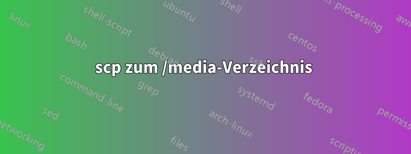 scp zum /media-Verzeichnis