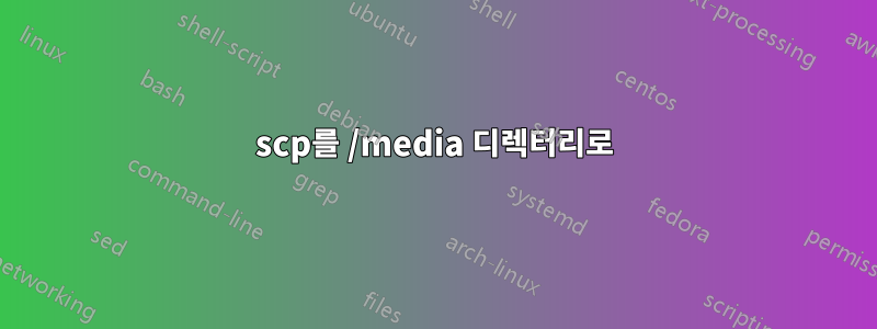 scp를 /media 디렉터리로