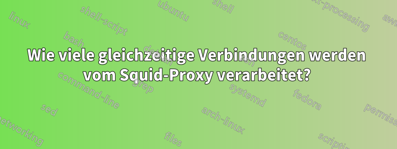 Wie viele gleichzeitige Verbindungen werden vom Squid-Proxy verarbeitet?