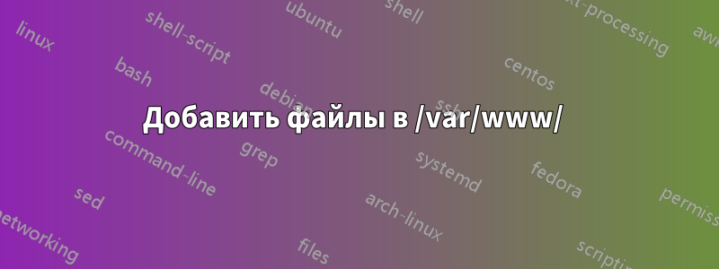 Добавить файлы в /var/www/ 