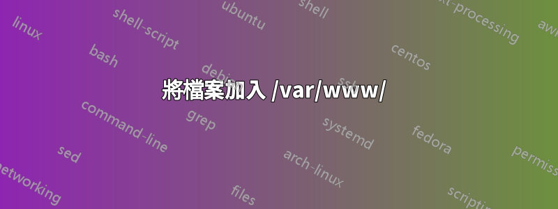 將檔案加入 /var/www/ 