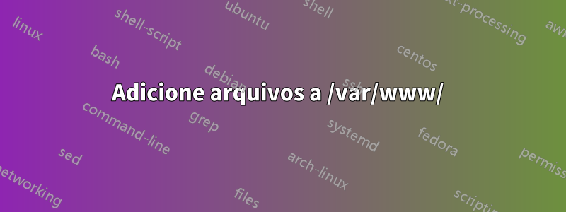 Adicione arquivos a /var/www/ 