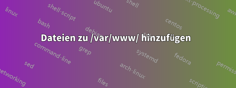 Dateien zu /var/www/ hinzufügen 