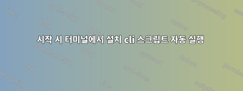 시작 시 터미널에서 설치 cli 스크립트 자동 실행