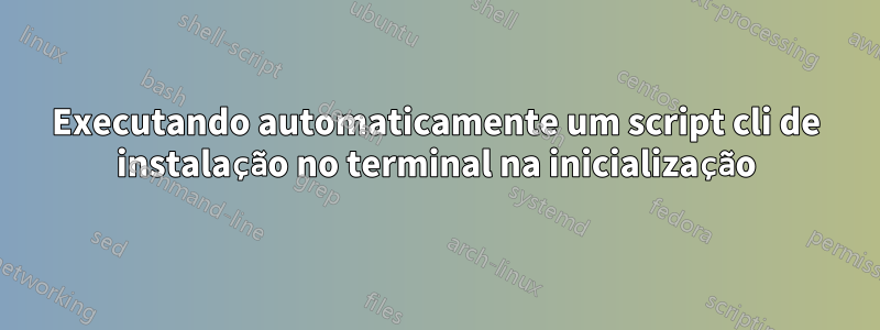 Executando automaticamente um script cli de instalação no terminal na inicialização