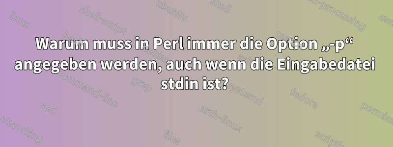 Warum muss in Perl immer die Option „-p“ angegeben werden, auch wenn die Eingabedatei stdin ist?