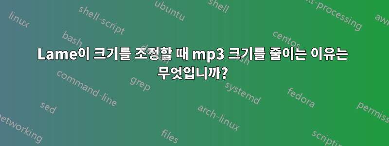 Lame이 크기를 조정할 때 mp3 크기를 줄이는 이유는 무엇입니까?