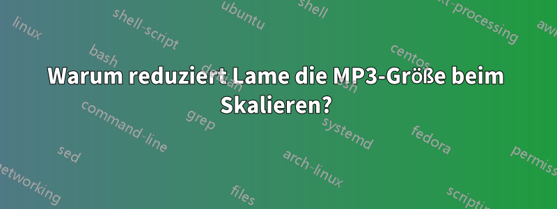 Warum reduziert Lame die MP3-Größe beim Skalieren?