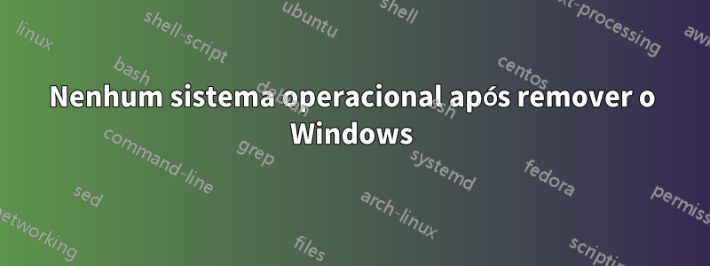 Nenhum sistema operacional após remover o Windows