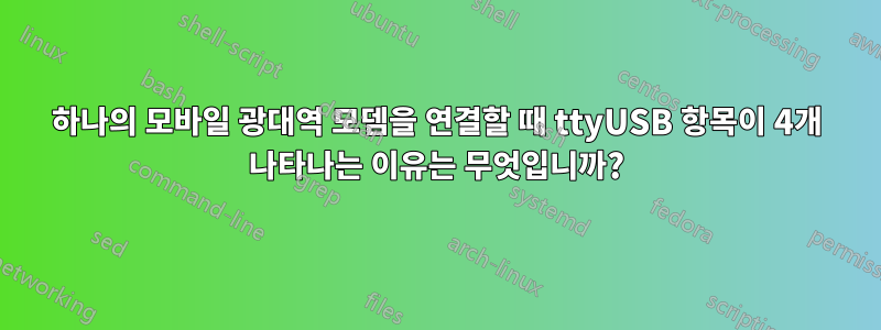 하나의 모바일 광대역 모뎀을 연결할 때 ttyUSB 항목이 4개 나타나는 이유는 무엇입니까?