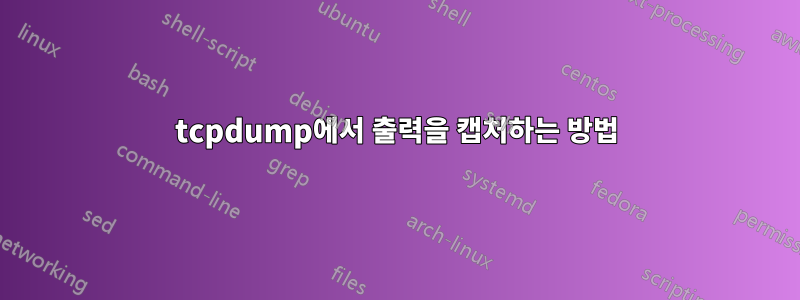 tcpdump에서 출력을 캡처하는 방법