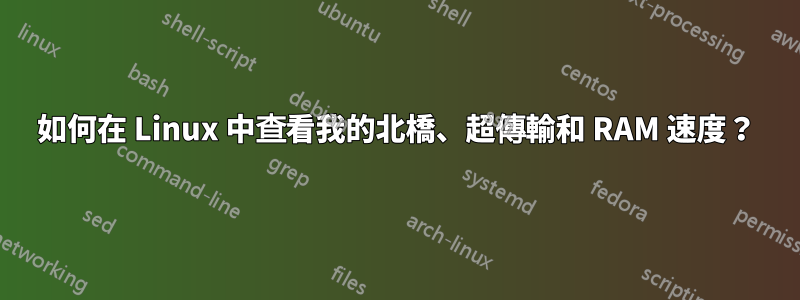 如何在 Linux 中查看我的北橋、超傳輸和 RAM 速度？