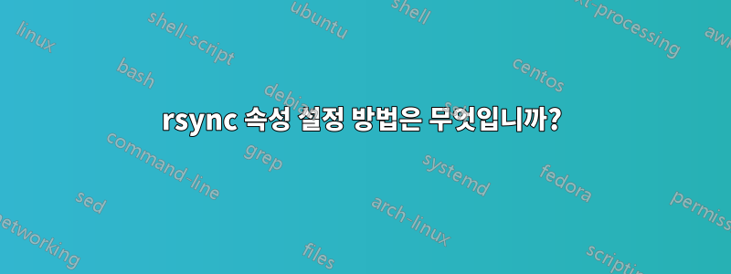 rsync 속성 설정 방법은 무엇입니까?