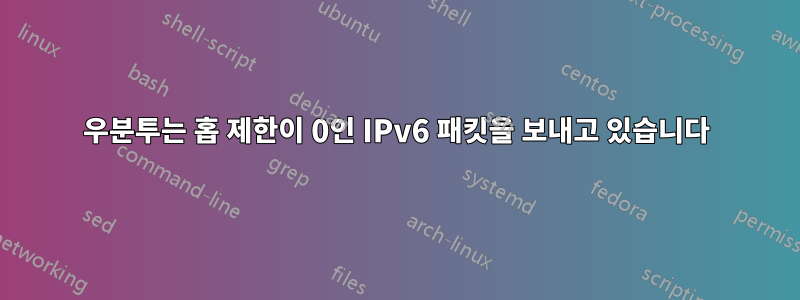 우분투는 홉 제한이 0인 IPv6 패킷을 보내고 있습니다