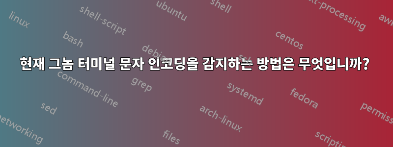 현재 그놈 터미널 문자 인코딩을 감지하는 방법은 무엇입니까?