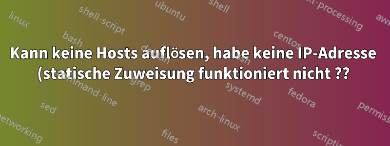 Kann keine Hosts auflösen, habe keine IP-Adresse (statische Zuweisung funktioniert nicht ??)