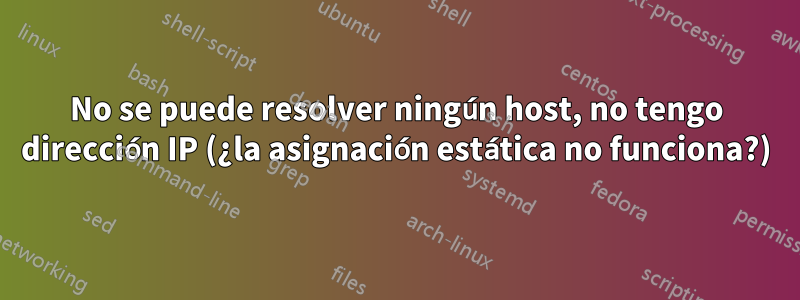 No se puede resolver ningún host, no tengo dirección IP (¿la asignación estática no funciona?)