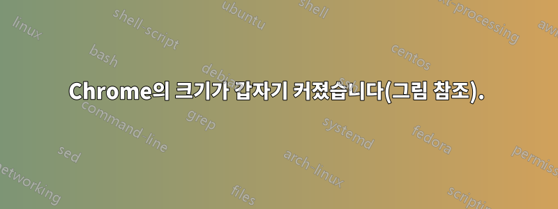 Chrome의 크기가 갑자기 커졌습니다(그림 참조).