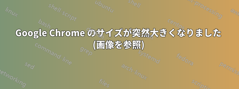 Google Chrome のサイズが突然大きくなりました (画像を参照)