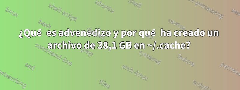 ¿Qué es advenedizo y por qué ha creado un archivo de 38,1 GB en ~/.cache?