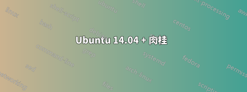 Ubuntu 14.04 + 肉桂 