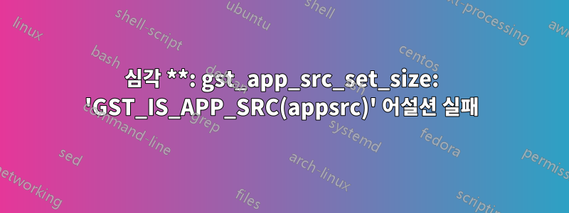 심각 **: gst_app_src_set_size: 'GST_IS_APP_SRC(appsrc)' 어설션 실패