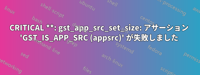 CRITICAL **: gst_app_src_set_size: アサーション 'GST_IS_APP_SRC (appsrc)' が失敗しました