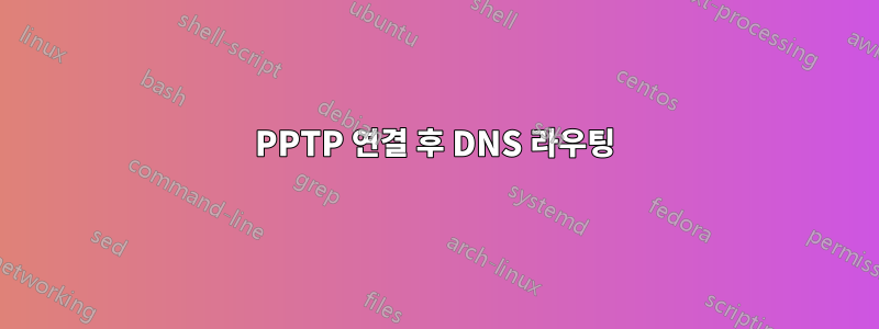 PPTP 연결 후 DNS 라우팅