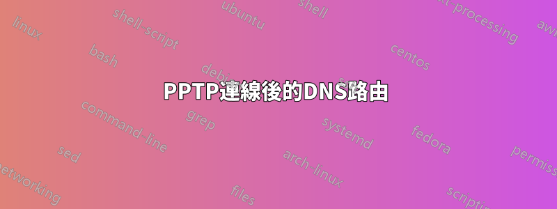 PPTP連線後的DNS路由