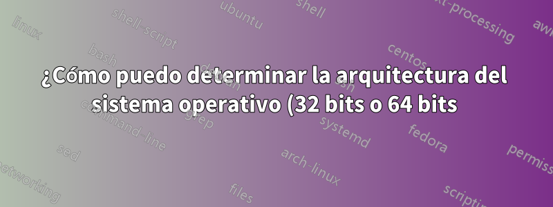 ¿Cómo puedo determinar la arquitectura del sistema operativo (32 bits o 64 bits) a partir de un archivo en un disco?