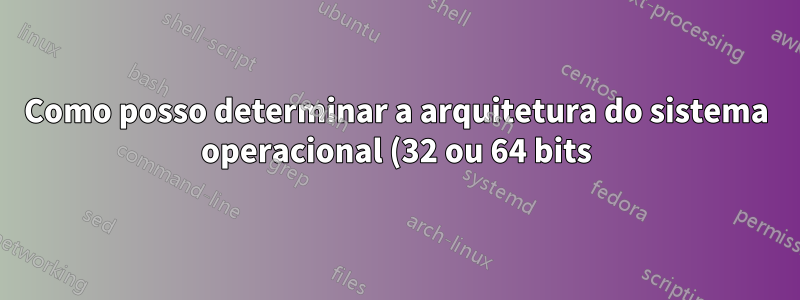 Como posso determinar a arquitetura do sistema operacional (32 ou 64 bits) a partir de um arquivo em um disco?