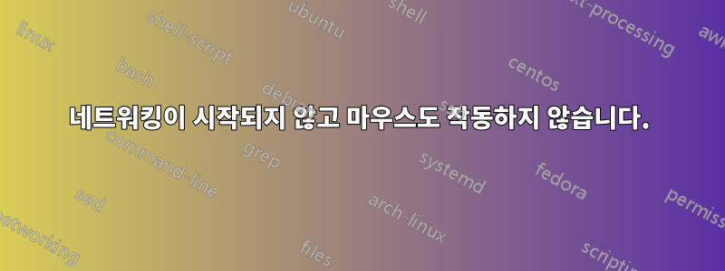 네트워킹이 시작되지 않고 마우스도 작동하지 않습니다.