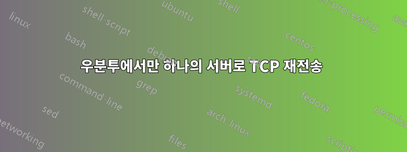 우분투에서만 하나의 서버로 TCP 재전송