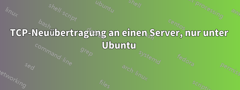 TCP-Neuübertragung an einen Server, nur unter Ubuntu