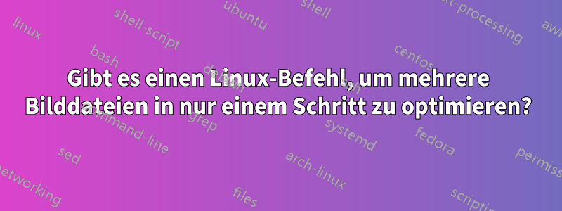 Gibt es einen Linux-Befehl, um mehrere Bilddateien in nur einem Schritt zu optimieren?