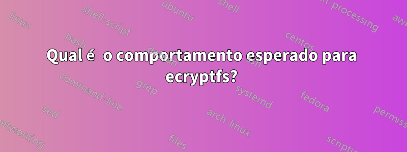 Qual é o comportamento esperado para ecryptfs?