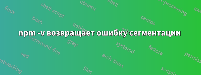 npm -v возвращает ошибку сегментации