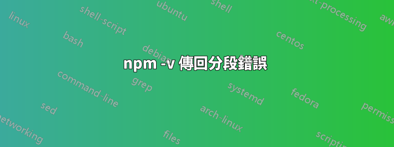 npm -v 傳回分段錯誤