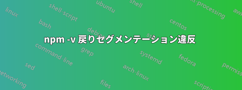 npm -v 戻りセグメンテーション違反