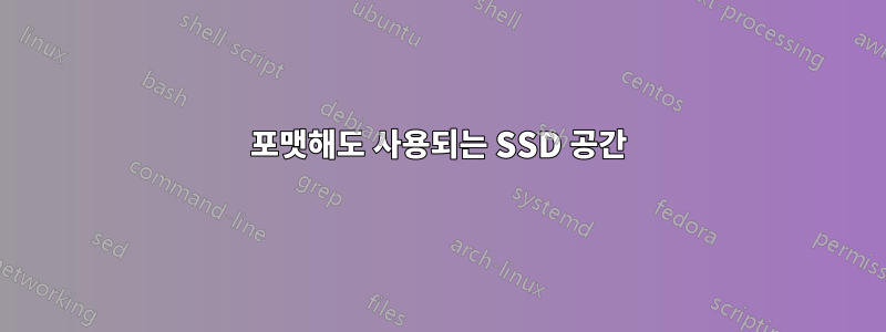 포맷해도 사용되는 SSD 공간