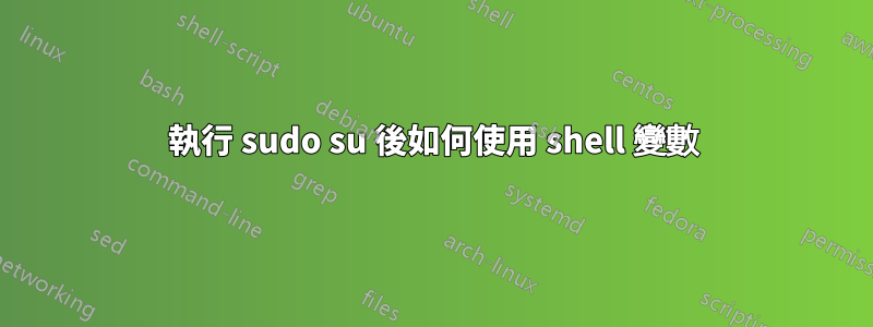 執行 sudo su 後如何使用 shell 變數