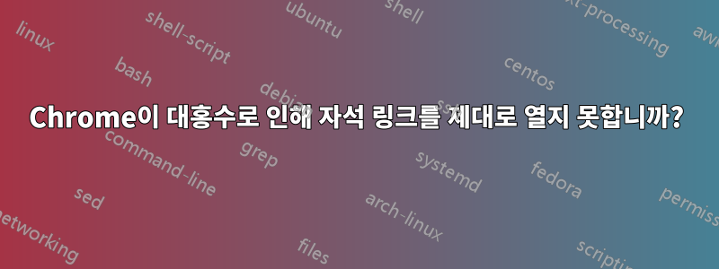 Chrome이 대홍수로 인해 자석 링크를 제대로 열지 못합니까?