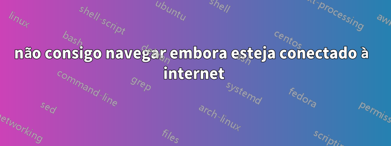 não consigo navegar embora esteja conectado à internet