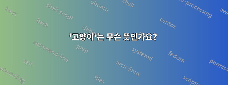 '고양이'는 무슨 뜻인가요?