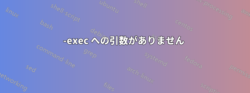 -exec への引数がありません