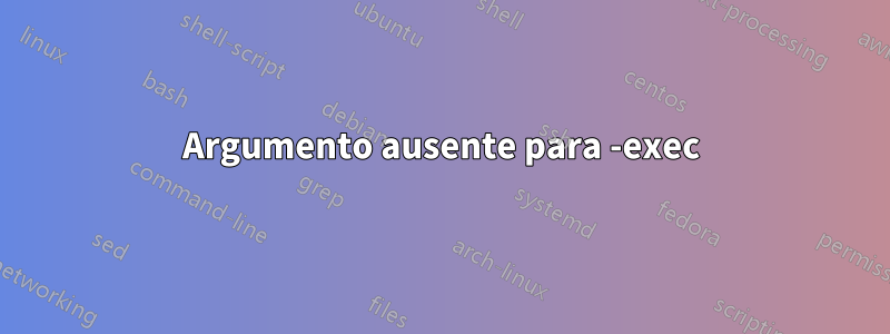 Argumento ausente para -exec