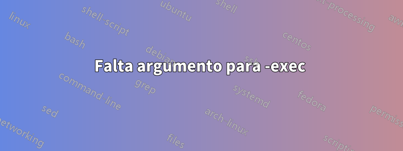 Falta argumento para -exec