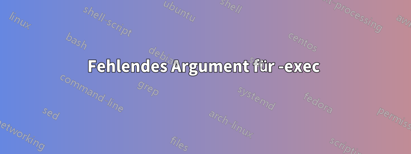 Fehlendes Argument für -exec