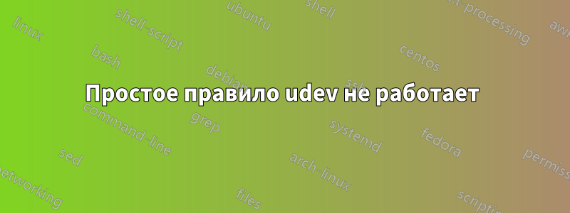 Простое правило udev не работает